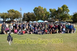 Power Paws Camp 2014